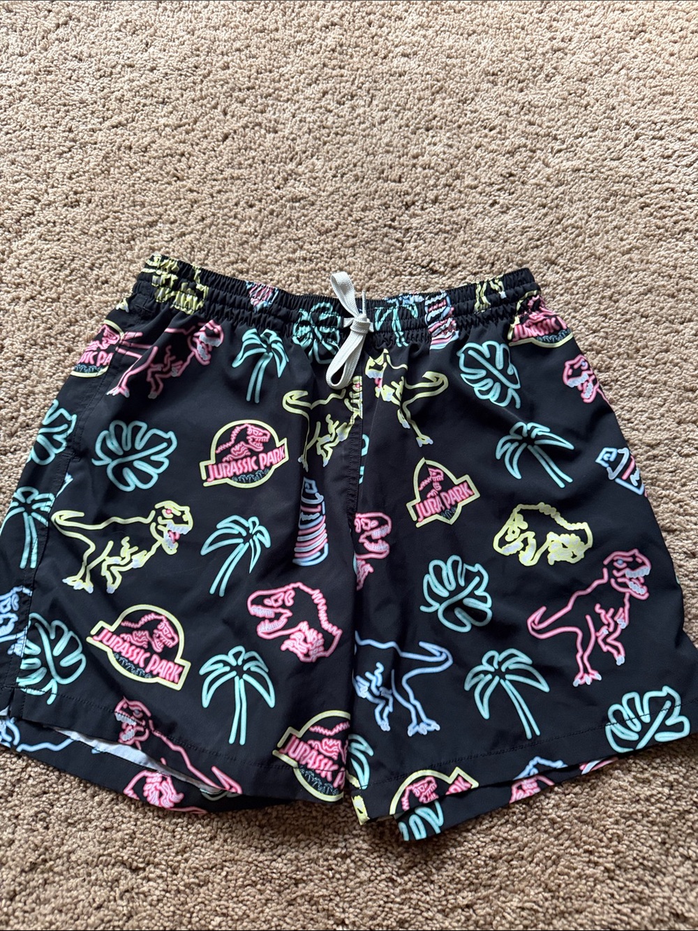 Chubbies  men’s  jurassic Park Limited, edition swim trunks size large 5.5